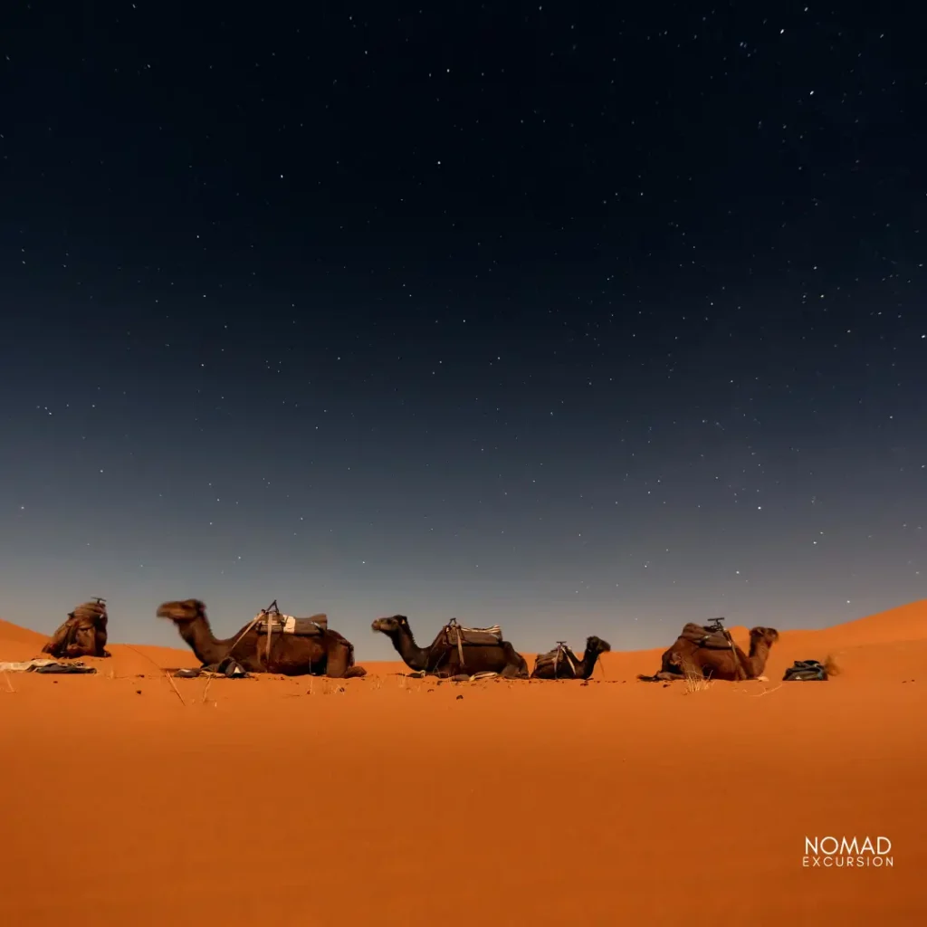 Merzouga desert Tour