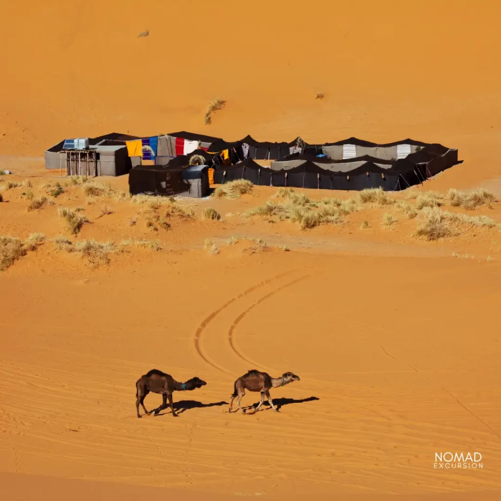 Merzouga desert Tour