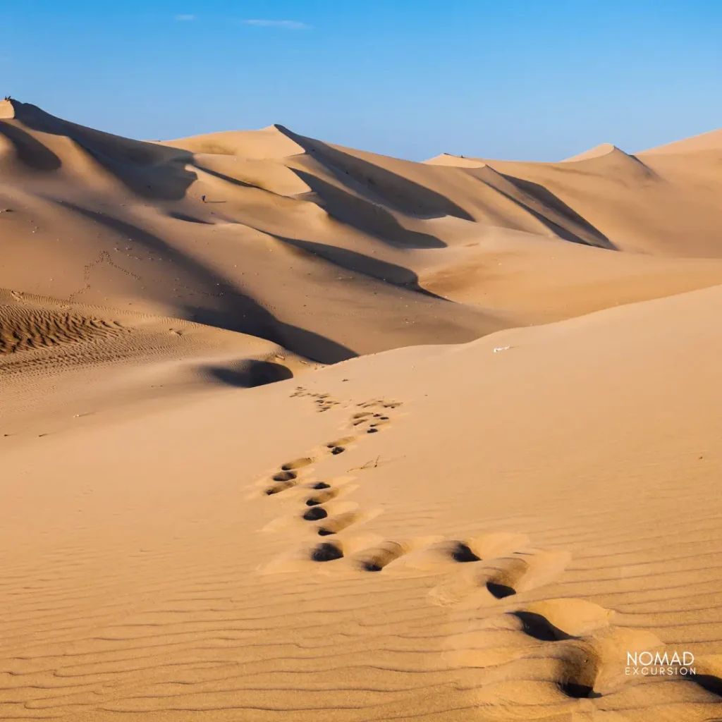 merzouga desert tour sustainable travel