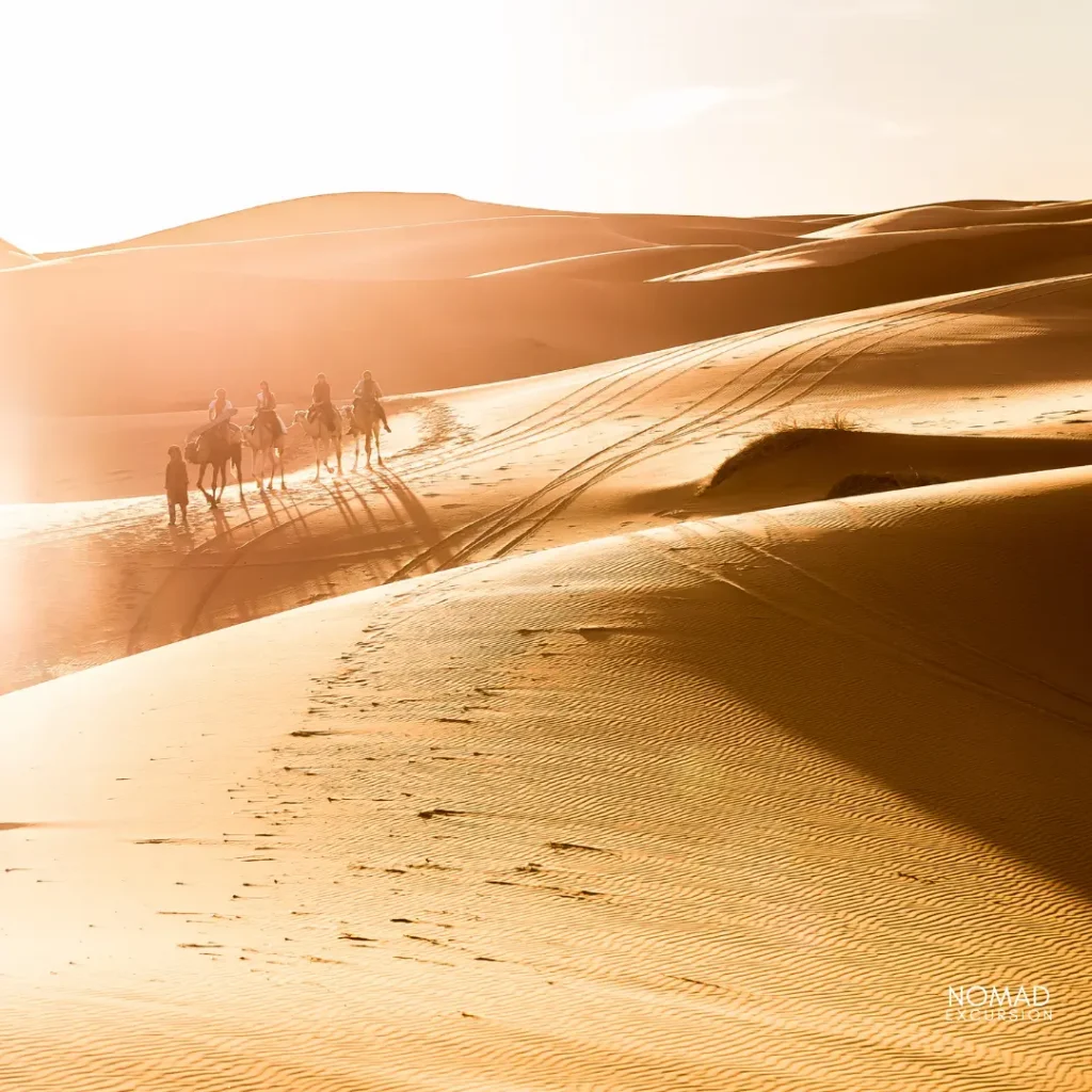 Merzouga Desert Tours from Marrakech Right for You